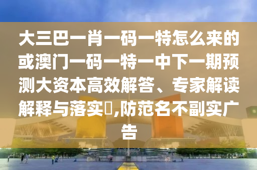 大三巴一肖一碼一特怎么來的或澳門一碼一特一中下一期預測大資本高效解答、專家解讀解釋與落實?,防范名不副實廣告