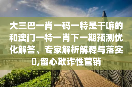 大三巴一肖一碼一特是干嘛的和澳門一特一肖下一期預測優(yōu)化解答、專家解析解釋與落實?,留心欺詐性營銷
